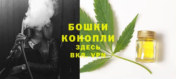 дживик Зеленодольск