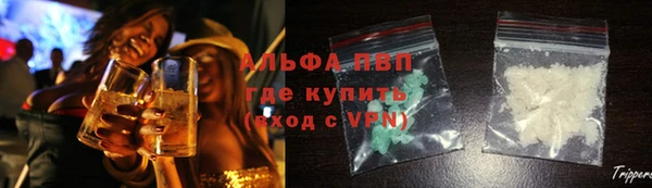 гидра Зеленокумск