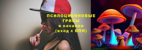 гидра Зеленокумск