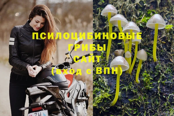 гидра Зеленокумск