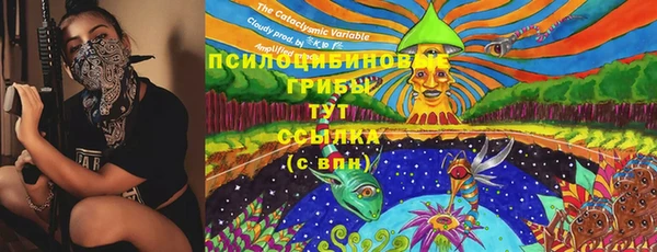 дживик Зеленодольск