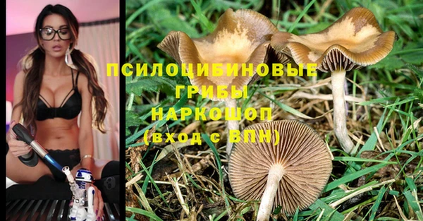 дживик Зеленодольск