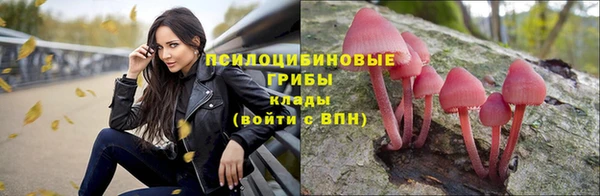 марки lsd Зерноград